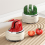 Aiguiseur de couteaux de poche multi-angles Rouge 5