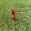 Golf Tee Hoogtemeter, 3D Geprint, 20-70mm Meetinstrument 2