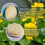 Burete exfoliant natural din lufă vegetală, ecologic 4