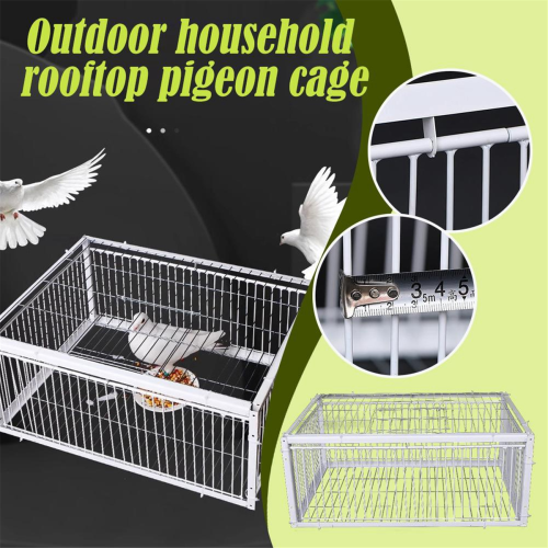 auto trap bird cage small
Auto Trap Bird Cage
Trap bird Cage 2