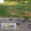 auto trap bird cage small
Auto Trap Bird Cage
Trap bird Cage 6