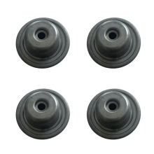 4x Oliedrukpomp Reparatieset voor 3008