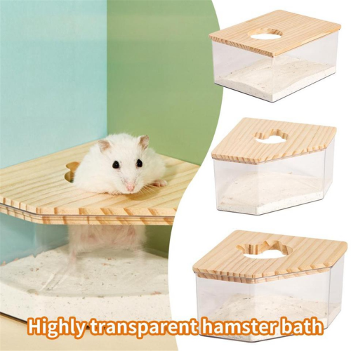 Hamster sandbad Hamster sandbadsbeholder med klatrestige 1