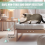 2 Pcs Kitten Bottle, Leak-Proof Squeezable Pet Feeding Bottle(20ml) 4