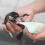 2 Pcs Kitten Bottle, Leak-Proof Squeezable Pet Feeding Bottle(20ml) 5