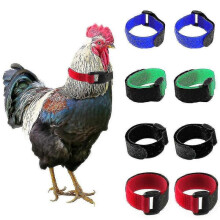 (2PCS Green) Chicken Collar Soft Texture Anti-cock Crowing Adjustable Anti-hook Rooster Collar Poultry Supplies high quality