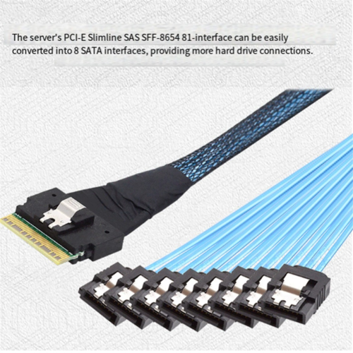 Καλώδιο εξόδου σκληρού δίσκου Target SFF-8654 8i σε 8X 74 ακίδων 2