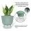 Vaso de planta autoirrigável de 6 polegadas com reservatório visual branco 5