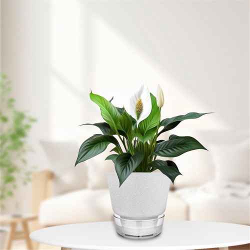Vaso de planta autoirrigável de 6 polegadas com reservatório visual branco 2