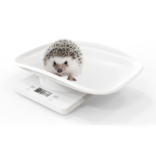 Small Pet Scale for Baking and Kitchen Weighing 2