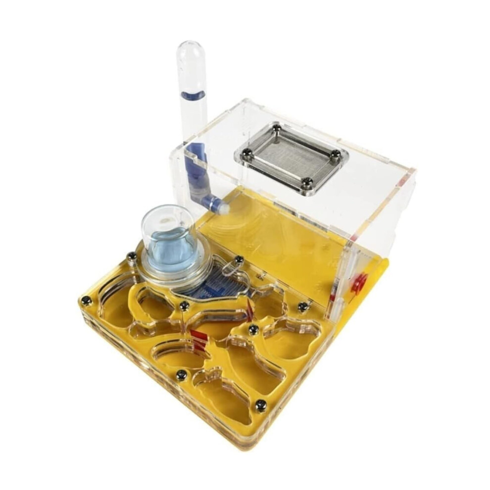 Ant Nest Ant Farm Acrylic Ant Habitat Castle For Breeding And Observation, Moisturizing Design, Yellow Color 6447073408502