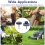 Sliper for gressklipperblad for drill, 4 stk. klipperbladsliper A 7