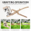 Grafting Tools for Fruit Trees Garden Grape Vine Graft Tool Cutter 4