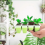 Plantbrickor, silikonbrickor för krukväxter, set om 5 4