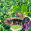 Plantbrickor, silikonbrickor för krukväxter, set om 5 2