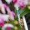 Akvariummeter, 5 stk., Jordfugtighedssensor til Planter, Lille 7