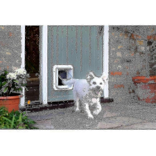 Microchip Pet Door (white) 2025 2