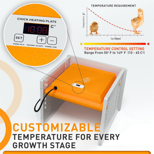 Chick Brooder Heating Plate Digital Temperature Control EU Plug 1