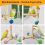 Bird Stand Perch Toy,Interactive Parakeet Toys 5