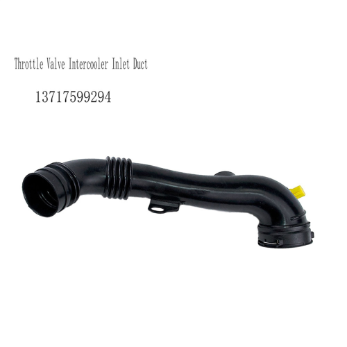 13717599294 Duto de entrada do intercooler da válvula de aceleração automática para 2
