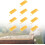 Queen Bee Cages 10 Pack Rearing Boxes Premium Apiculture Equipment High Performance Easy Use Beekeeping Tool 2
