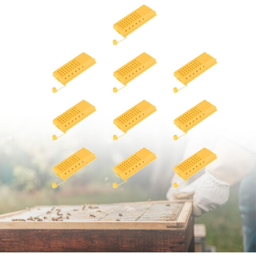 Queen Bee Cages 10 Pack Rearing Boxes Premium Apiculture Equipment High Performance Easy Use Beekeeping Tool 1