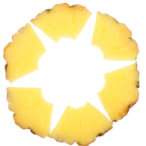 24pcs Artificial Fruit Slices Decorative Fake Fruit Models Photo Props
