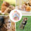 Hamster Hideaway Cute Ceramic HidingNests ChinchillaHut 6
