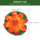 14pcs Artificial Floating Water Lily Plastic Lotus Pond Decor 11