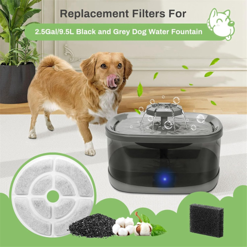 Filtres pour fontaine à eau pour chat (2,5 gal/9,5 L), B 1