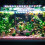 Aquarium Light Full LED Fish Tank Light with 10