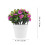 3pcs Artificial Potted Plants Simulated Bonsai Decor 4