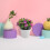 3pcs Artificial Potted Plants Simulated Bonsai Decor 7
