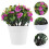 3pcs Artificial Potted Plants Simulated Bonsai Decor 5