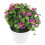 3pcs Artificial Potted Plants Simulated Bonsai Decor 10