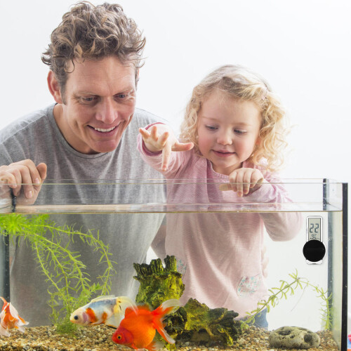 Reptile Breeding Box Thermometer Fish Tank Temperature Gauge 2