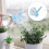 6pcs Bottle Sprinkler Watering Spout Bonsai Tool 5