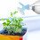 6pcs Bottle Sprinkler Watering Spout Bonsai Tool 6