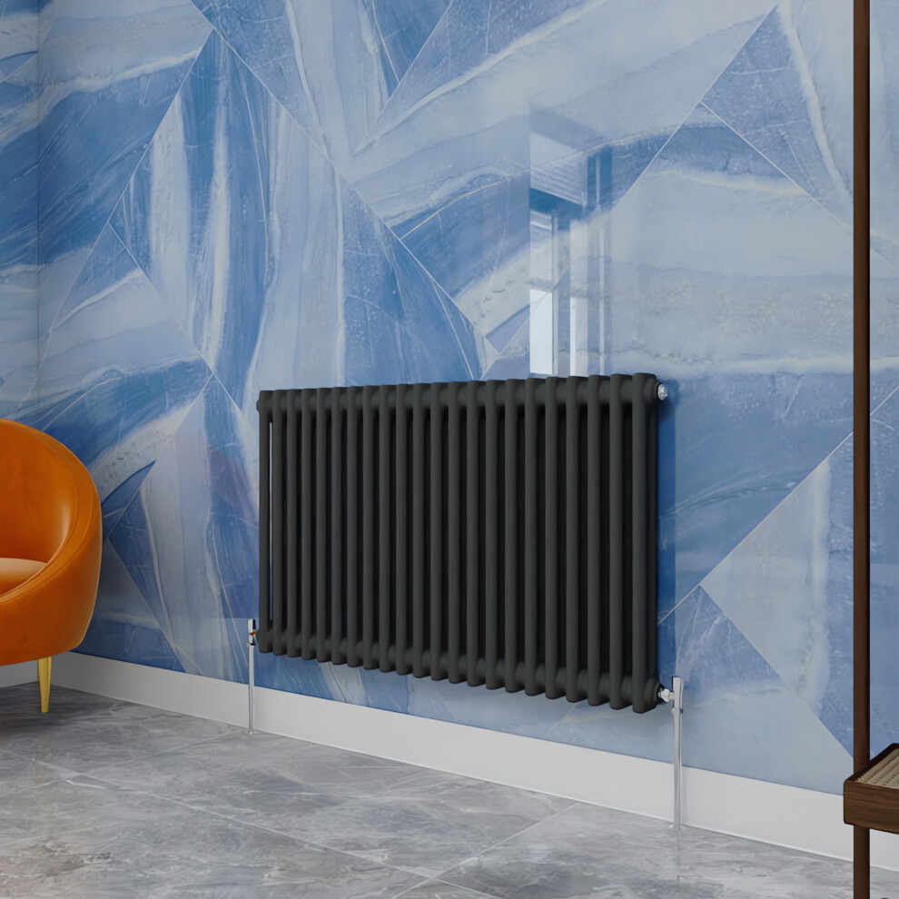 (Anthracite, 600X1010mm) Traditional 2 Column Cast Iron Style Radiator 5054100009222