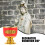 6pcs Reusable Buddhist Water Offering Bowls 9