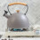 1pc Stainless Steel Teakettle Home Thicken Grey 10