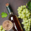60pcs Daily Use Stoppers Corks Household Supply 8