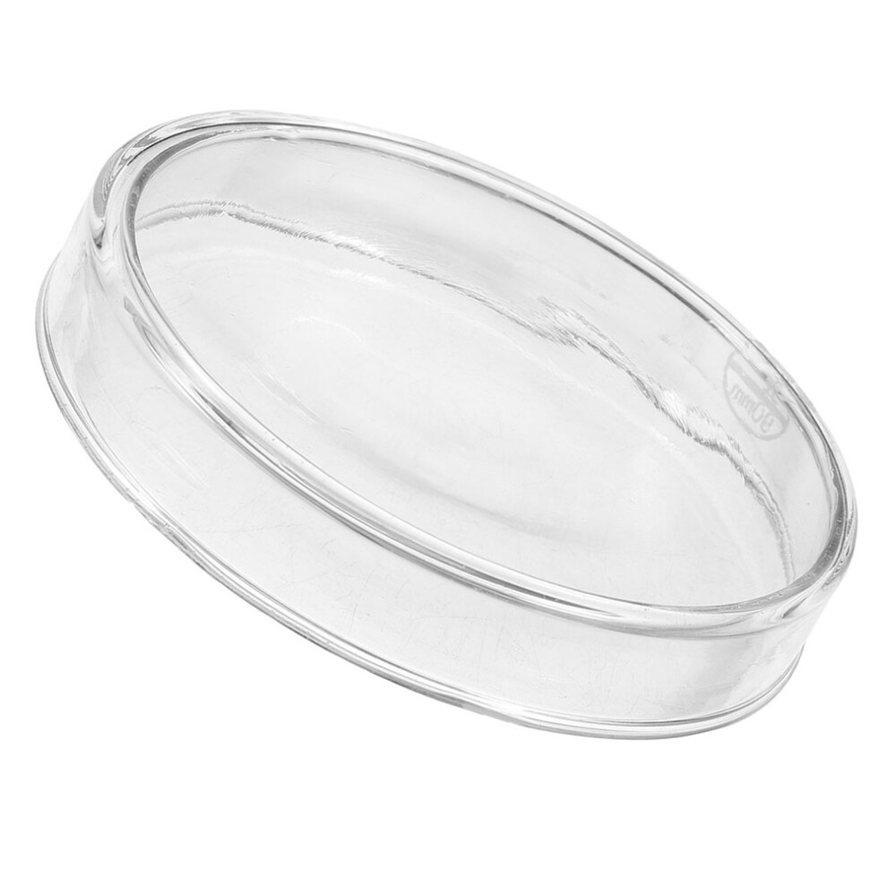 Glass Petri Dish With Lid for Laboratory Use (L)-image-OPC-PKBJQCD-NEW