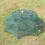 1pc Foldable Bait Cast Mesh Trap Net 16 Holes 4