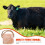 Salt Block for Farm Animals 1-2kg 10