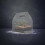 10Pcs Clear Plastic Cake Boxes Pet Food Crisper for Bakery 11