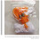 20Sets Multifunktionale Sport Ballnetze PP Nylon, 9