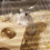 1pack Pets Rest Absorbent Liners for Guinea Pigs Hamsters Rabbits 9