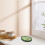 Avocado Ceramic Snack Tray Multi Color Sauce Dish for Kitchen 5
