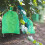 50pcs Grape Protection Bags Fruit Vegetable Breeding 11